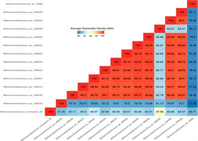 Culture-based and culture-independent approach for the study of the methanogens and obligate anaerobes from different landfill sites